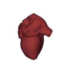 Cardiac Mitral Valve Surgery Model